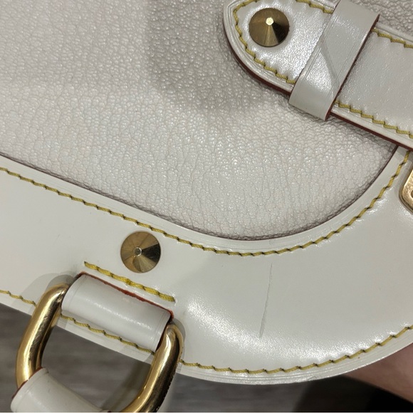 Louis Vuitton Le Radieux Suhali - Picture 11 of 16